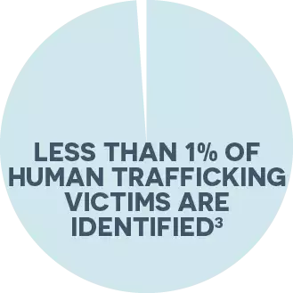 The Issue 1% of human trafficking victims are identified